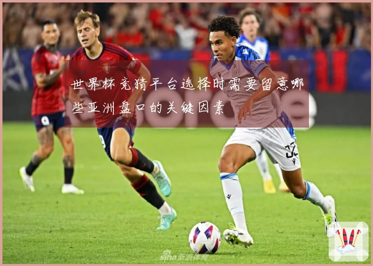 世界杯竞猜平台选择时需要留意哪些亚洲盘口的关键因素